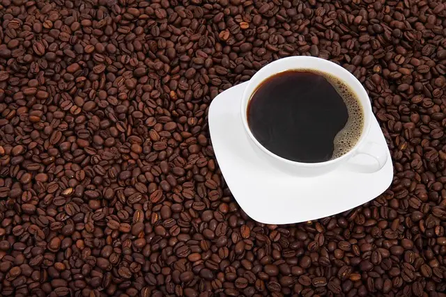 coffee-beans-cup-2608051785886203..webp coffee-beans-cup-2608051785886203..webp