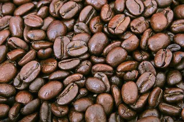 Premium Dark Roast Whole Bean Showdown: Mayorga Café Cubano vs. Café 1820 Costa Rican Coffee