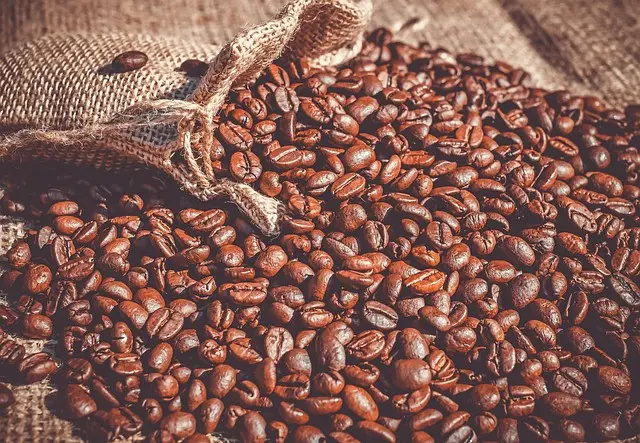 coffee-coffeebeans-beans-2608041785843497..webp