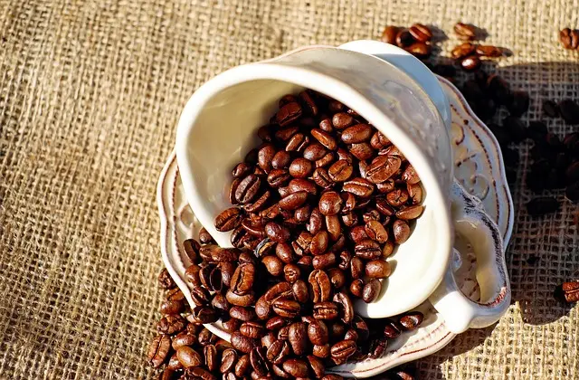 Top Premium Coffee Beans on Amazon for the Ultimate Brew