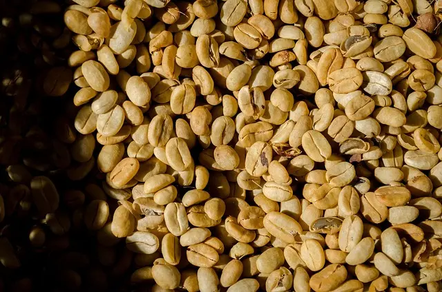 coffee-nature-texture-2608041785827308..webp coffee-nature-texture-2608041785827308..webp