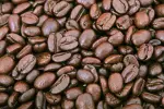 Premium Dark Roast Whole Bean Showdown: Mayorga Café Cubano vs. Café 1820 Costa Rican Coffee